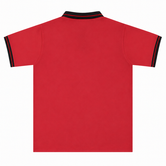 Egypt Jersey